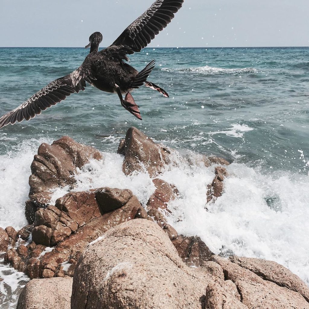 Oasi Biderosa - Orosei - Foto di Berta Pinna