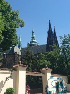 Cattedrale di San Vito - ArTravel